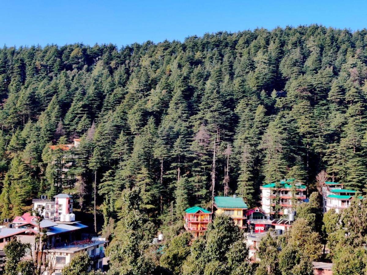 Nomadic Inn Dharamshala Eksteriør billede